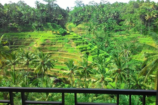 Best of Bali : Ubud, Rice terrace, Tanah lot temple with Lunch - Getting Around: Air-Conditioned Vehicle and a Driver-Guide You Can Rely On