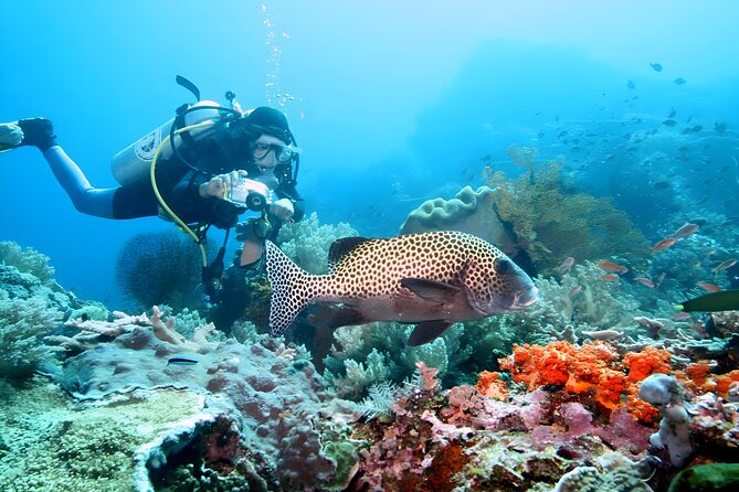 Best of Bali Water Sport Jumbo Packages - Price and Value: Is $70 Per Person a Good Deal?