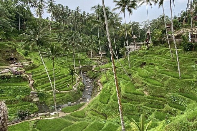 Best of Instagram Tour: Gate of Heaven, Tirta Gangga, Bali Swing - Stop 4: Aloha Ubud Swing for jungle swing shots
