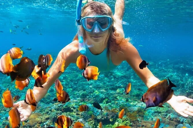 Best of Nusa Penida All-Inclusive Day Trip - Pantai Diamond and the Shortest Stop: Quick, Worth It