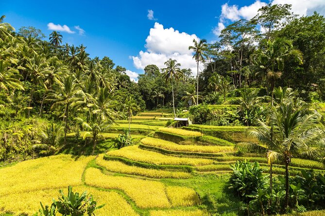 Best of Ubud 1-Day Private Tour - Celuk Village: Pick Your Craft and Make It Personal