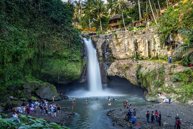 Best of Ubud 1-Day Private Tour - Tegenungan Waterfall: Big Views, Wet Ground, and Time for Photos