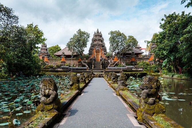 Best of Ubud 1-Day Private Tour - Tegalalang Rice Terrace: The View Everyone Comes for