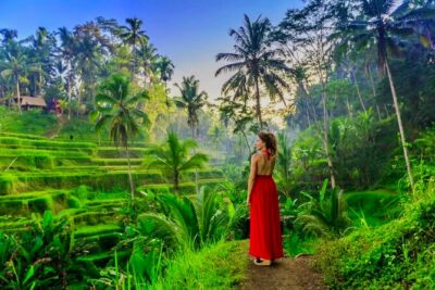 Best of Ubud: All-Inclusive Private Tour with Local Guide - Pickup and the comfort details you’ll notice early
