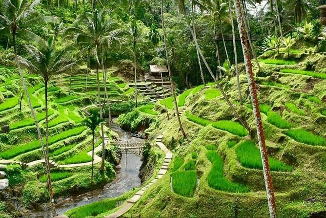 Best of Ubud Full Day Private Guided Tour - Stop 2: Celuk Village for silver craft you can actually describe