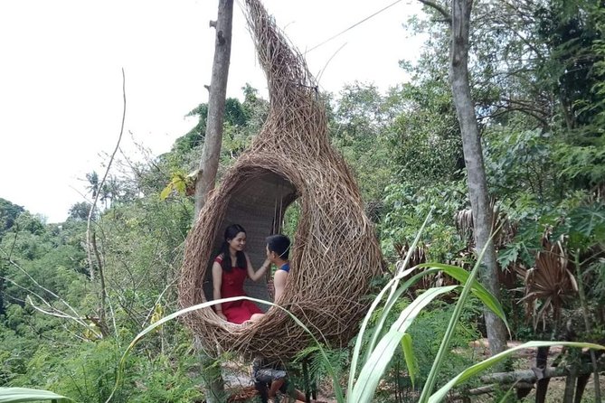 Best of Ubud Full Day Private Guided Tour - Stop 5: Happy Swing Bali for Terrace River Pool Swing photos