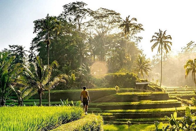Best of Ubud - Full day Tour + FREE WI-FI - Key points that make this tour worth your time