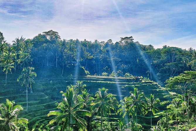 Best of Ubud - Full day Tour + FREE WI-FI - Stop 1: Tegenungan Waterfall in about 45 minutes