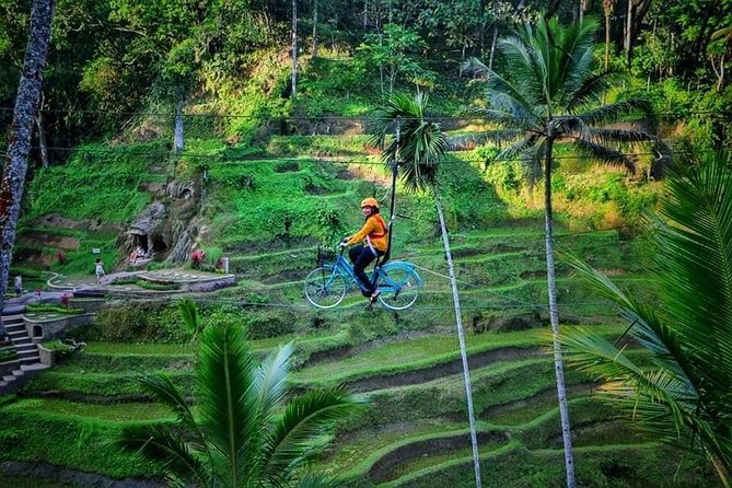 Best of Ubud - Full day Tour + FREE WI-FI - Stop 2: Sacred Monkey Forest Sanctuary and the guided walking flow