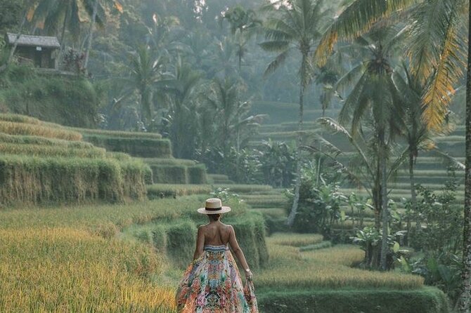 Best of Ubud Full Day Tour with All Inclusive - Sacred Monkey Forest Sanctuary: see the wild side, stay smart