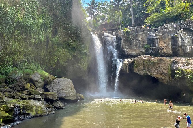 Best Of Ubud Half Day Private Guided Tour - A photo-heavy Ubud day with a real private guide