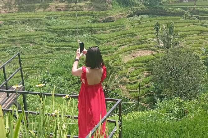 Best Of Ubud Half Day Private Guided Tour - Stop 1: Tegalalang rice terraces and the giant swing photo moment