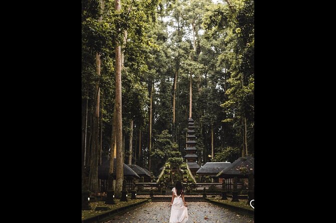 Best of Ubud: Jungle, Temples & Swing - Happy Swing Bali: the fun add-on, clearly separated