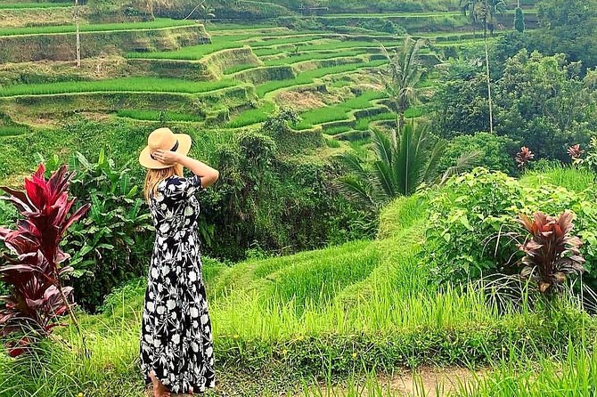 Best of Ubud - Kintamani Volcano View - Private Tour - Door-to-Door Transfers and the Real Cost of Bali Time