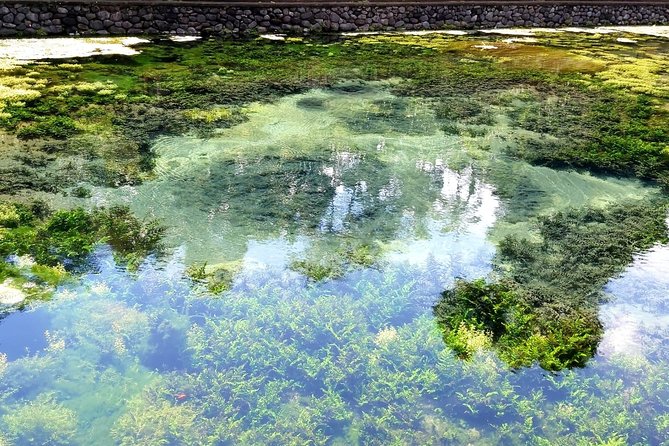 Best of Ubud - Kintamani Volcano View - Private Tour - Price and Value: What $63 Really Buys You