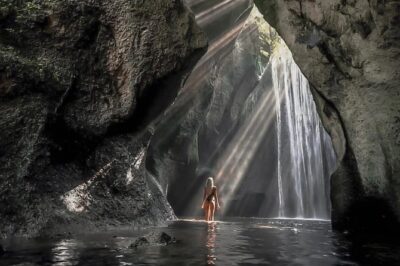 Best Of Ubud : One Day Hidden Waterfall Tour with Tempel - Price and What You’re Actually Paying For