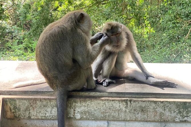 Best Of Ubud Private Day Tour With Local Guide - The real logistics: 30-minute transfers, traffic, and how to stay relaxed