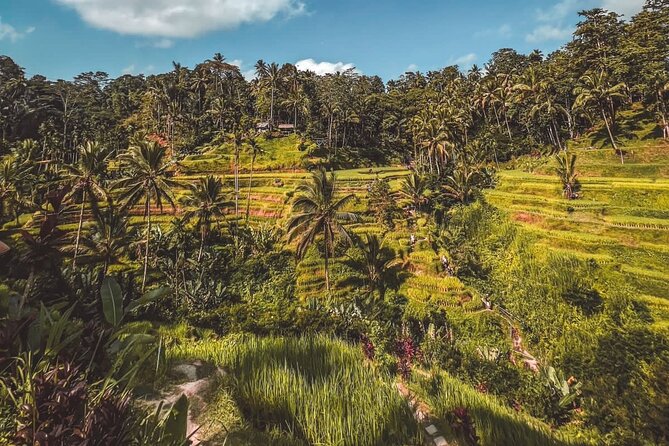 Best Of Ubud Private Day Tour With Local Guide - Stop 2: Tegalalang Rice Terraces for big views and slow wandering