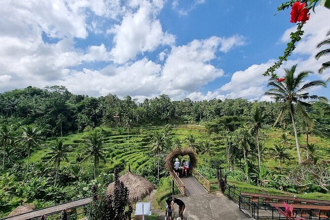 Best of Ubud Private Tour with Jungle Swing Experience - Tegenungan Waterfall: The Green Scenery Factor