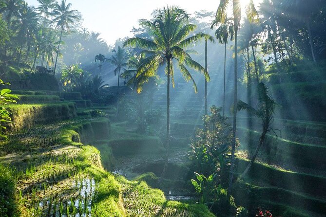 Best of Ubud: Rice Terrace, Temple and Waterfall Private Tour - Key things that make this tour work
