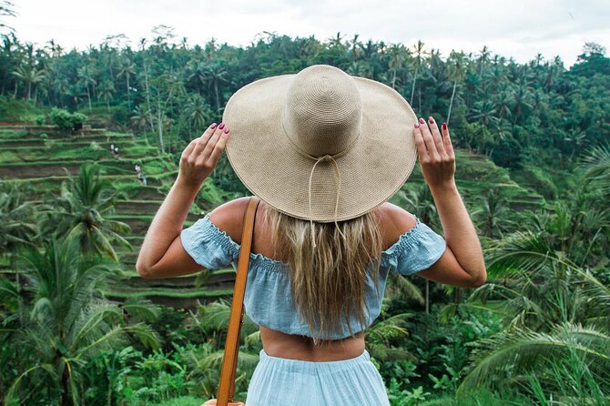 Best of Ubud: Rice Terrace, Temple and Waterfall Private Tour - Price and what you’re really paying for