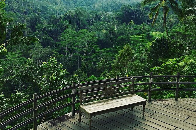 Best of Ubud: Rice Terrace, Temple and Waterfall Private Tour - Tegalalang Rice Terrace: why walking beats just posing