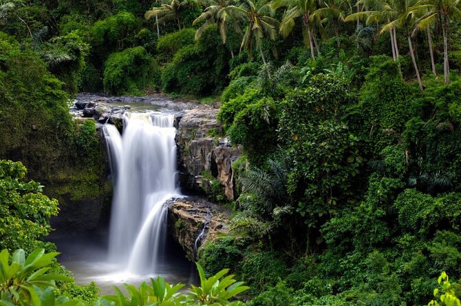 Best of Ubud: Rice Terrace, Temple and Waterfall Private Tour - Sacred Monkey Forest Sanctuary: temples in the trees