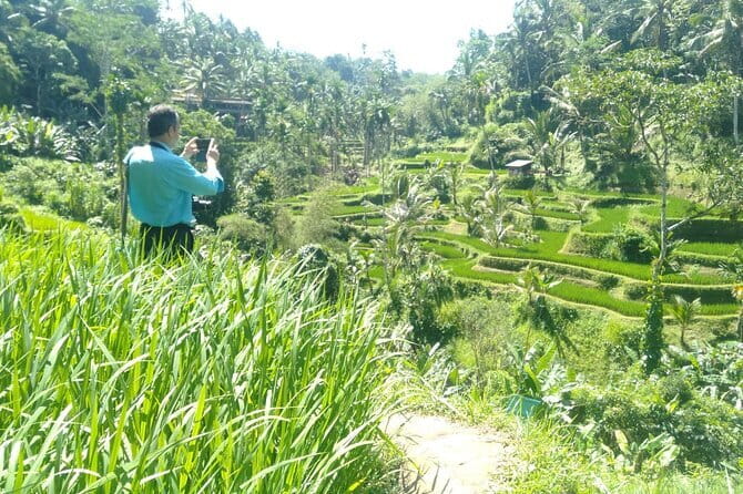 Best Of Ubud Scenic Full Day Private Guided Tour - Key highlights worth your attention