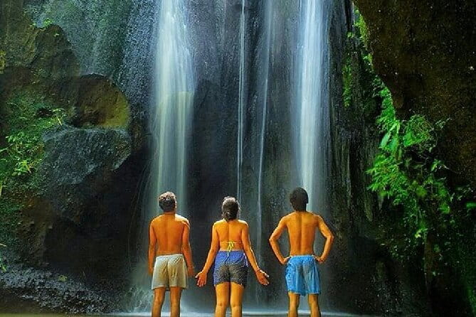 Best Of Ubud Scenic Full Day Private Guided Tour - Bali Swing: costumes, guided photos, and a fun break from sightseeing