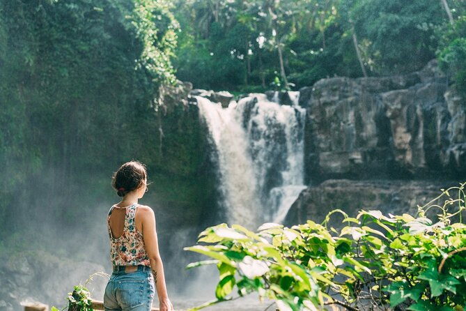 Best of Ubud Sightseeing Private All Inclusive Tour - A Full-Day Ubud Highlights Route Without the Headaches