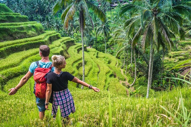 Best of Ubud Sightseeing Private All Inclusive Tour - Tegenungan Waterfall: Swim-Ready, With Showers After