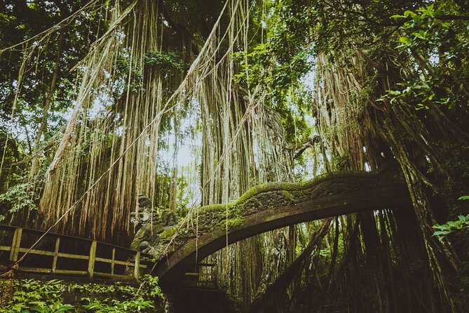 Best of Ubud Sightseeing Private All Inclusive Tour - Why $46 Feels Like Good Value (If You Use the Inclusions)