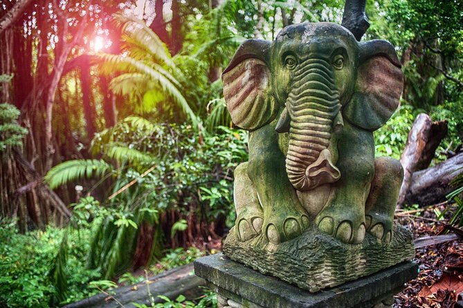 Best of Ubud Sightseeing Private All Inclusive Tour - Timing, Pacing, and What to Expect When the Day Gets Full