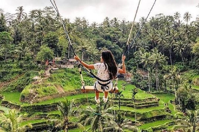 Best of Ubud Tour with Jungle Swing Private and All Inclusive - Stop 4: Tirta Empul Temple for a Spiritual Water Moment