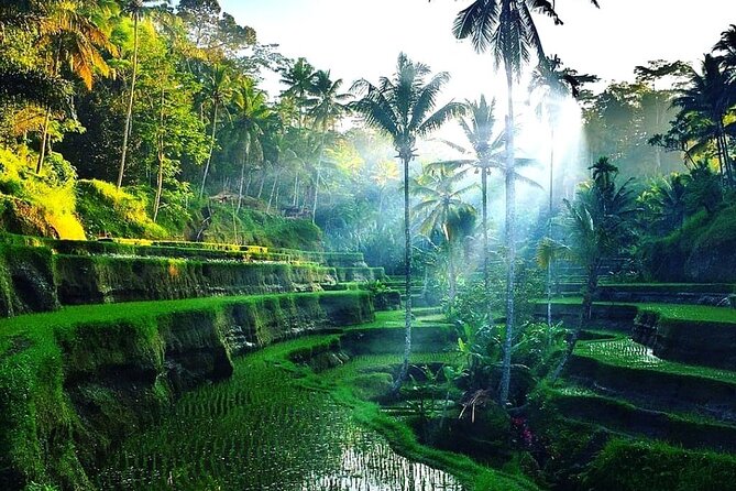 Best of Ubud - Ubud Tour Popular - All Inclusive - Why this Ubud day tour works for first-timers
