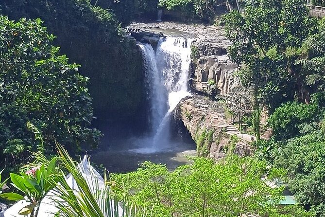 Best of Ubud - Ubud Tour Popular - All Inclusive - The guide factor: flexible, patient, and easy communication