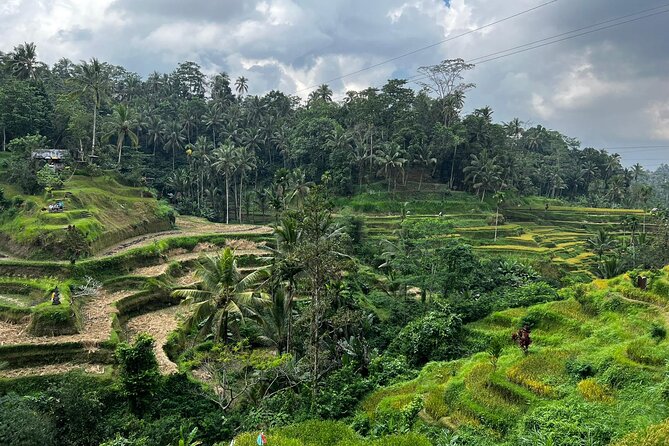 Best of Ubud - Ubud Tour Popular - All Inclusive - FAQ