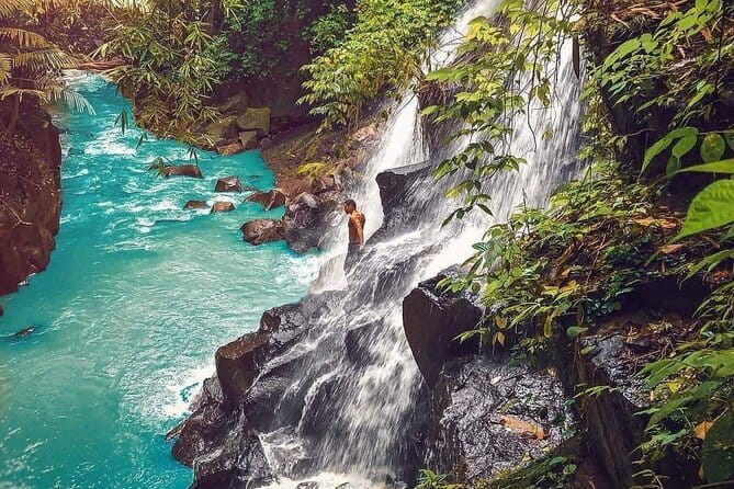 Best Of Ubud Waterfalls, Rice Terrace and Jungle Swing Tour - Tegalalang Rice Terrace: Walk the Fields, Learn the Farming Logic