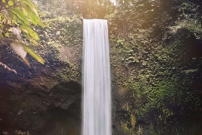 Best of Ubud Waterfalls, Tegalalang Rice Terrace & Jungle Swing - Price and logistics: what you truly get for $26.10