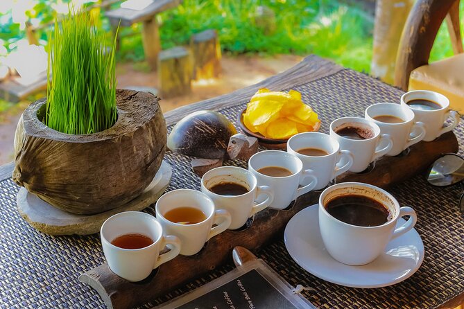Best of Ubud: Waterfalls, Temple & Rice Terraces Private Day Tour - Tirta Empul Temple: spiritual cleansing at the holy spring