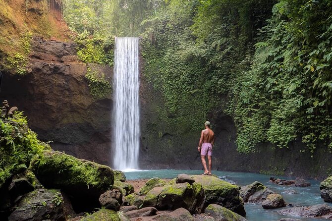 Best of Ubud: Waterfalls, Temple & Rice Terraces Private Day Tour - Price and value: what you really get for $31 per person