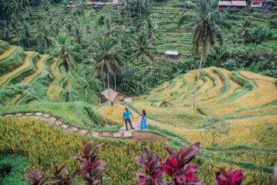 Best of Ubud’s Highlights Full-Day Tour - Getting around Ubud without burning your morning