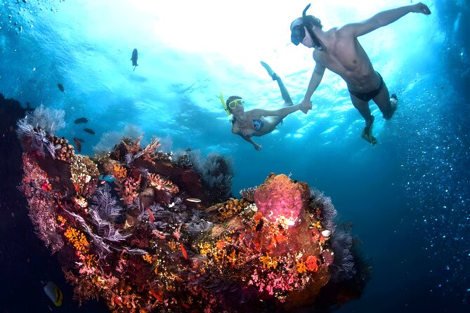 Best Snorkeling Activity in Blue Lagoon Beach Bali - The full 7-hour flow: transfers, two reef sessions, lunch, and rinse time