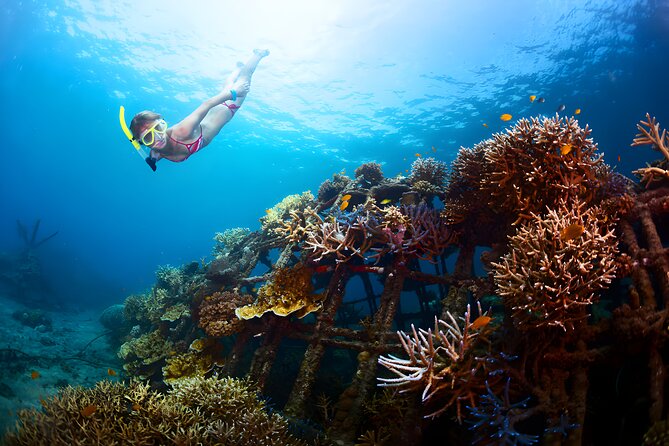 Best Snorkeling Activity in Blue Lagoon Beach Bali - Price in context: is $70 per person good value?