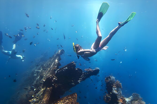 Best Snorkeling Activity in Blue Lagoon Beach Bali - What you’ll see during your 2 hours in the water