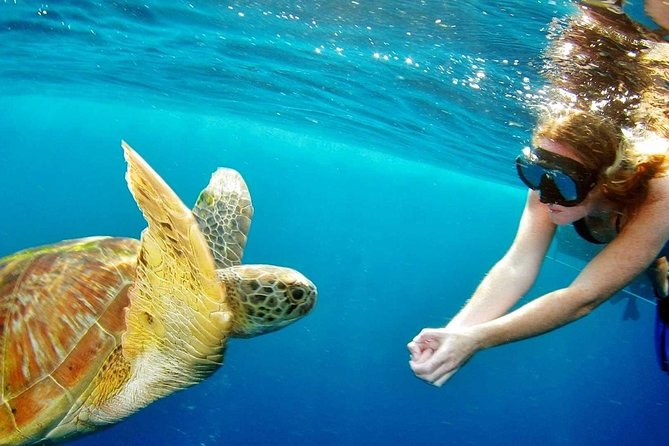 Best Snorkeling Trip at Blue Lagoon Bali - Why Blue Lagoon and Tanjung Jepun works for a full-day snorkel