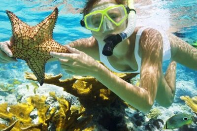 Best Snorkeling Trip at Blue Lagoon Bali - Getting from Ubud to Padang Bai: transport you’ll actually use