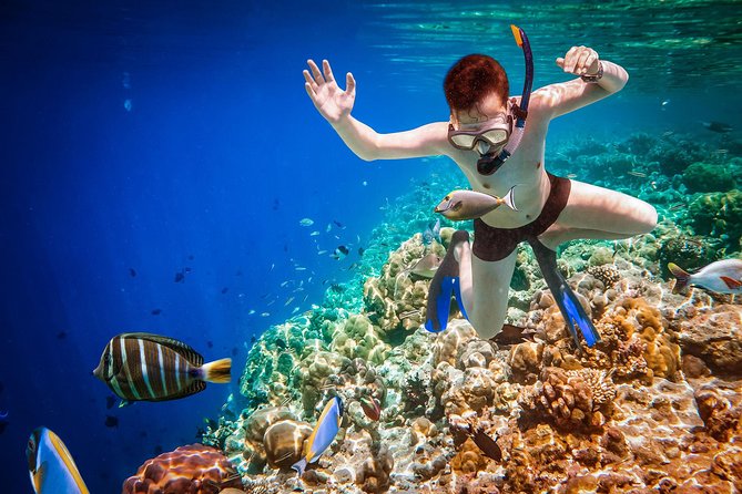 Best Snorkeling Trip at Blue Lagoon Bali - Stop 2 at Tanjung Jepun: where the fish numbers can surprise you
