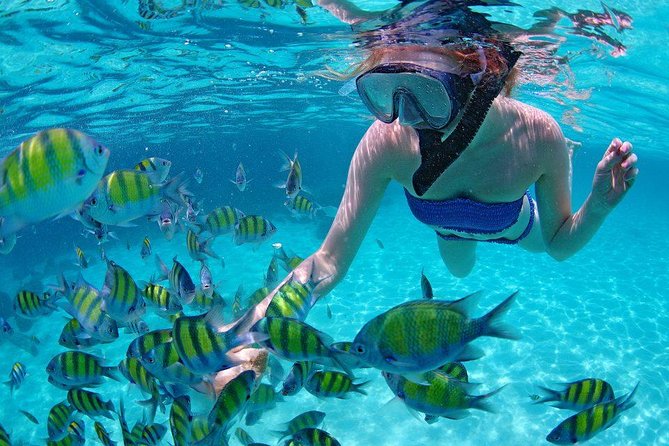 Best Snorkeling Trip at Blue Lagoon Bali - Who should book this Blue Lagoon Bali snorkeling day