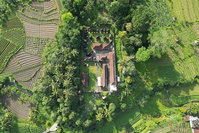 Best Ubud Tour Private Tour All Inclusive Package - Tegalalang Rice Terraces: Ticket-Free Views and Quick Photo Planning